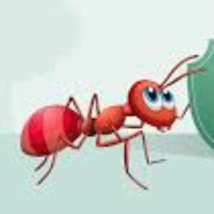 Profile photo of tabita