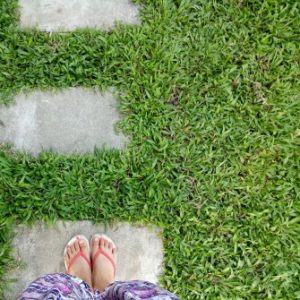 Profile photo of pham