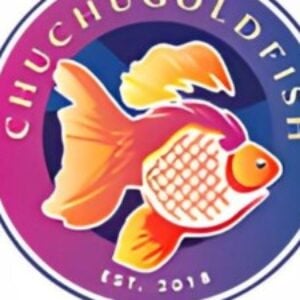 Profile photo of ChuChuGoldfish