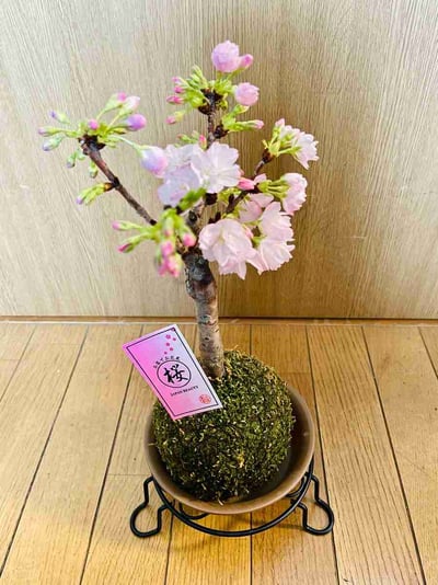 79139BDD-0390-4E0C-9B47-833DFC0A7865