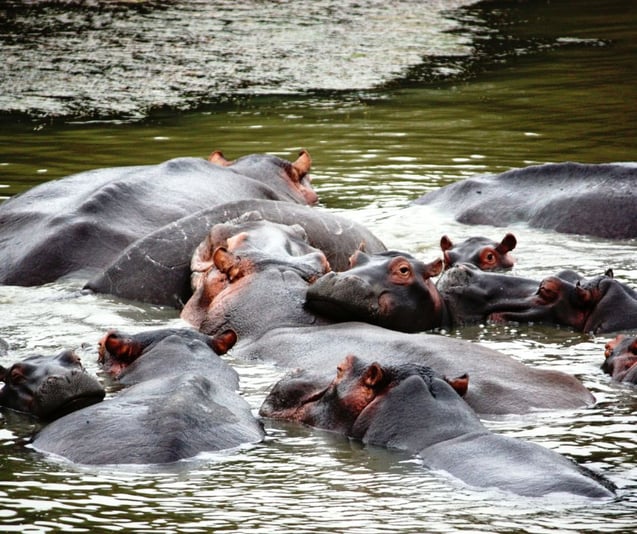 Untitled design - 2025-07-08T214057.835