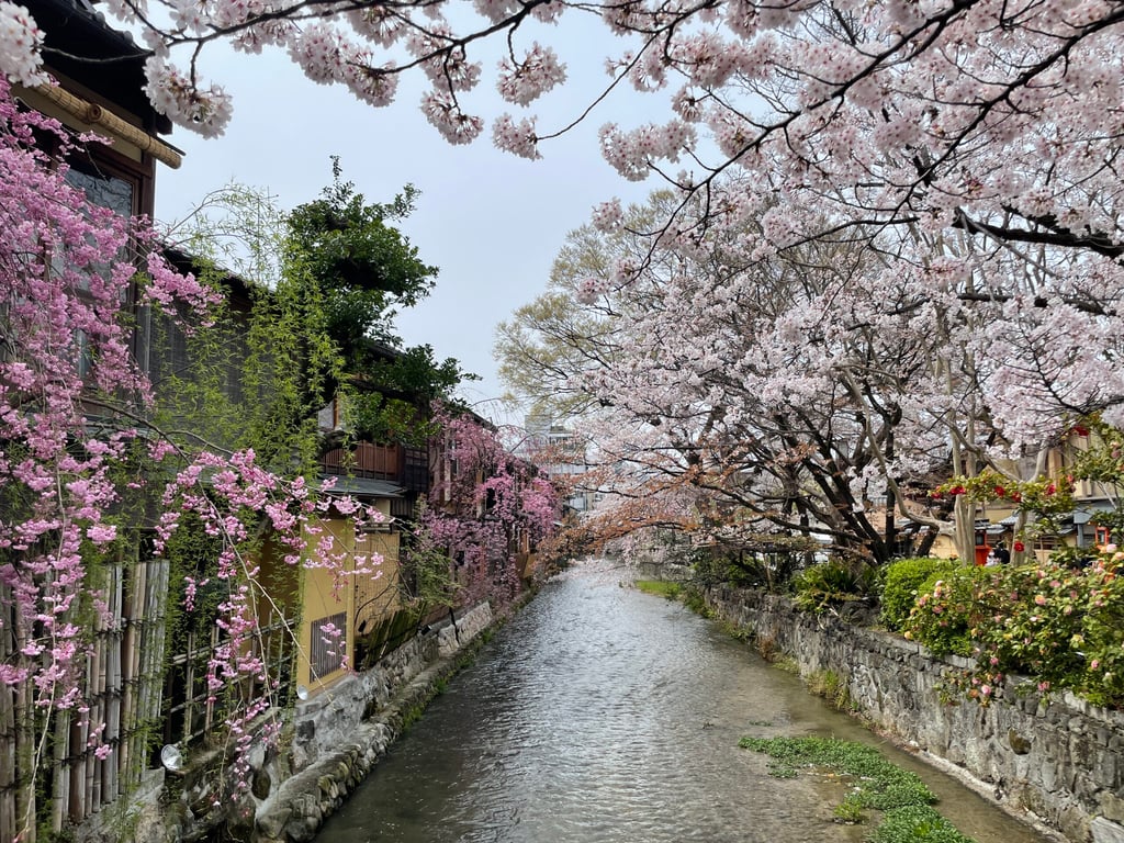 20220402 024734368 iOS