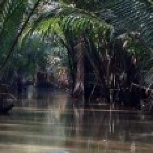 Profile photo of dinhoecotour