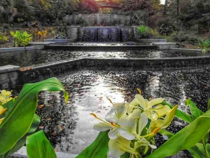 FB_IMG_1698749060507-01