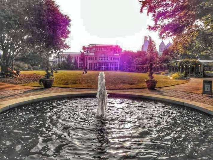 FB_IMG_1698749092819-01