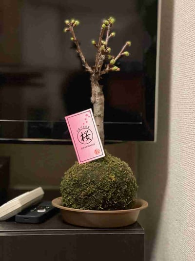 0D9ACD6A-0762-40CE-BA1C-CCEFBF12C1FA