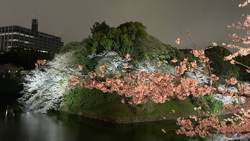 16282C99-BF30-4AE8-838C-F74278920393