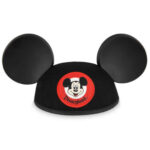 Group logo of Accessible Disney