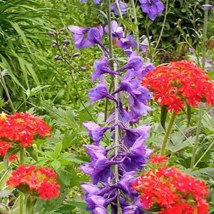 Profile photo of Heather