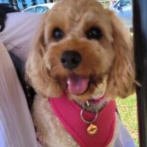 Profile photo of Kiki1215