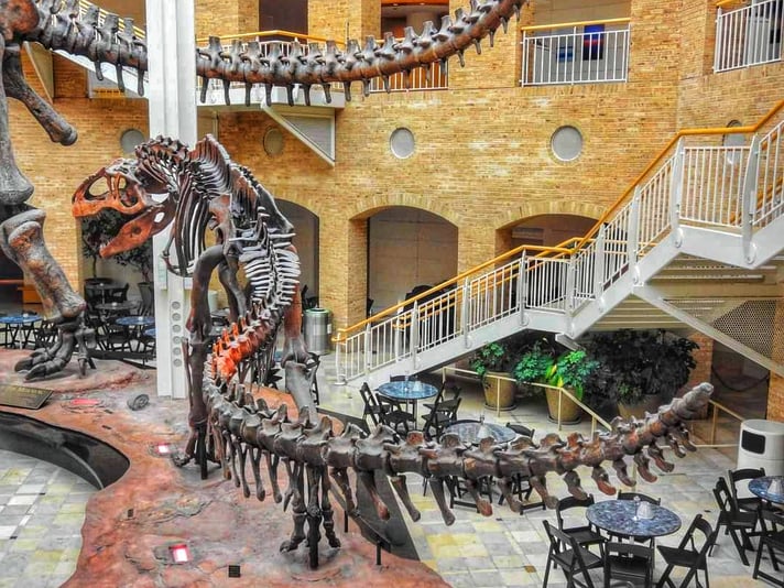 FB_IMG_1698404695830-01