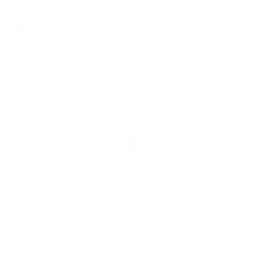 Profile photo of havishetravel