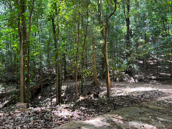 288596716_717929756118915_483230214885957684_n