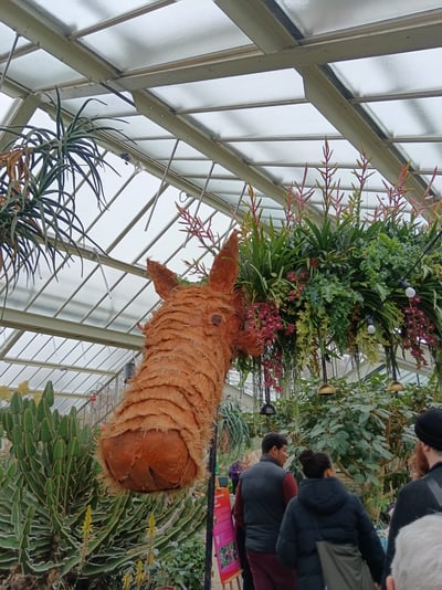 As it's the Year of the Horse this year of course they had this horse's head