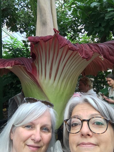 8A446A5A-0187-4DF3-AE44-A13D05FFE79A