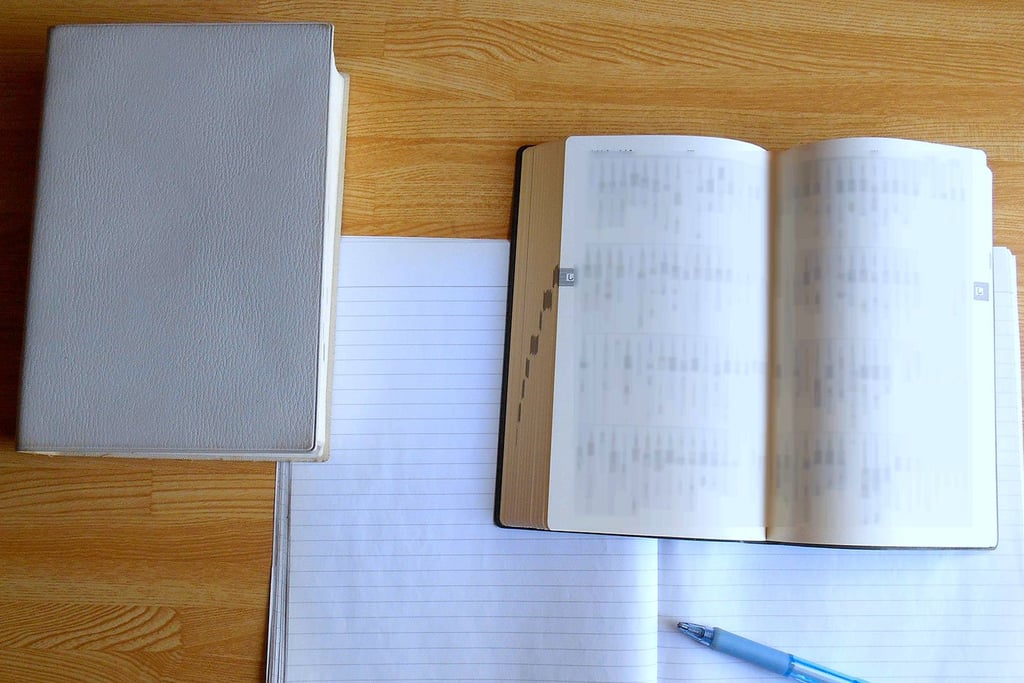 Japan accessible travel phraseboo2k