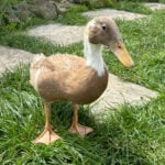 Profile photo of Louise