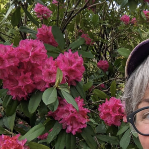 Profile photo of jjwalsh