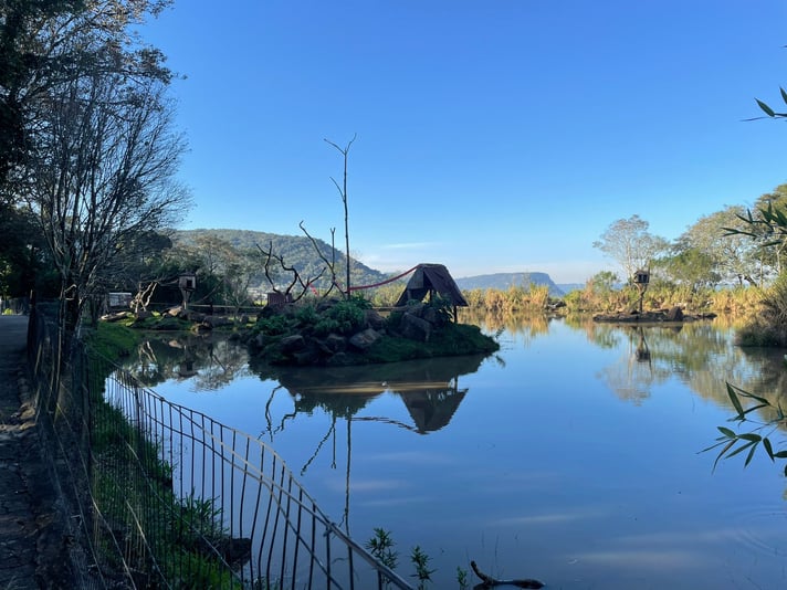 WhatsApp Image 2023-08-03 at 09.03.51