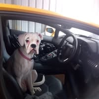 Profile photo of Eddy Doyle