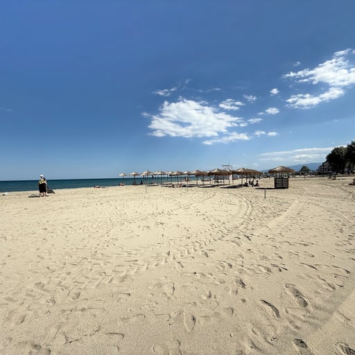 Olympic Beach photo 6