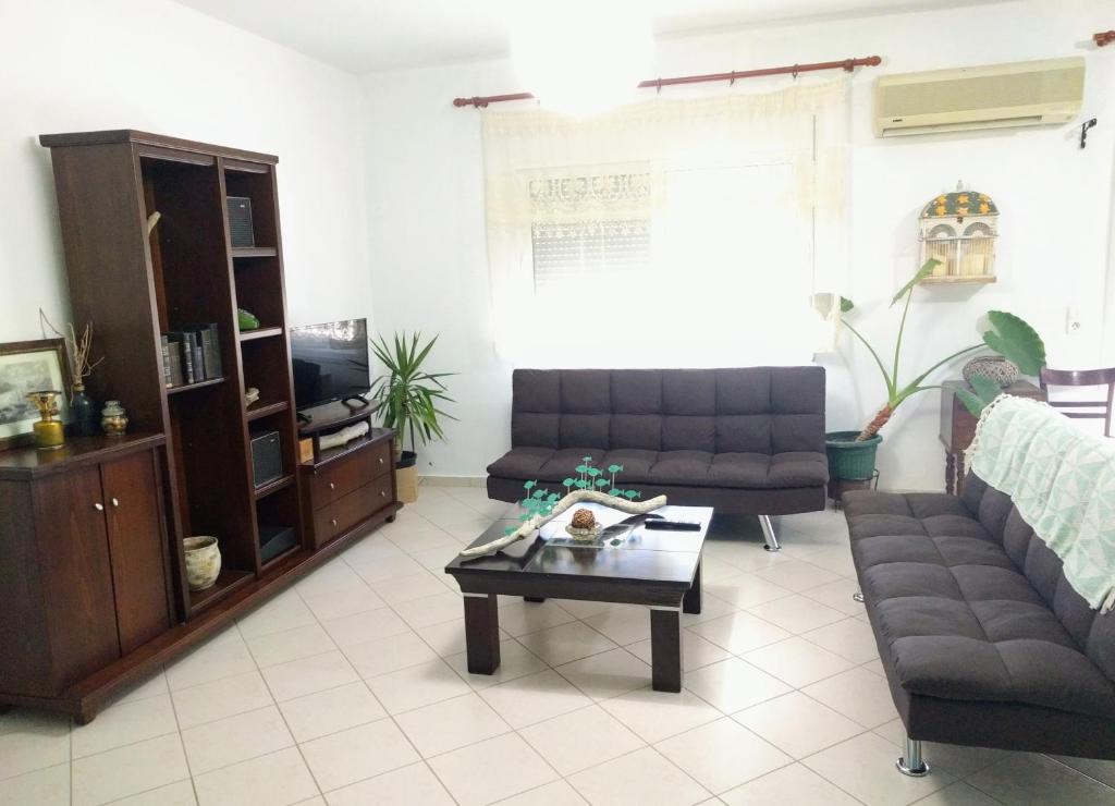 Dimitris Luxury apartment