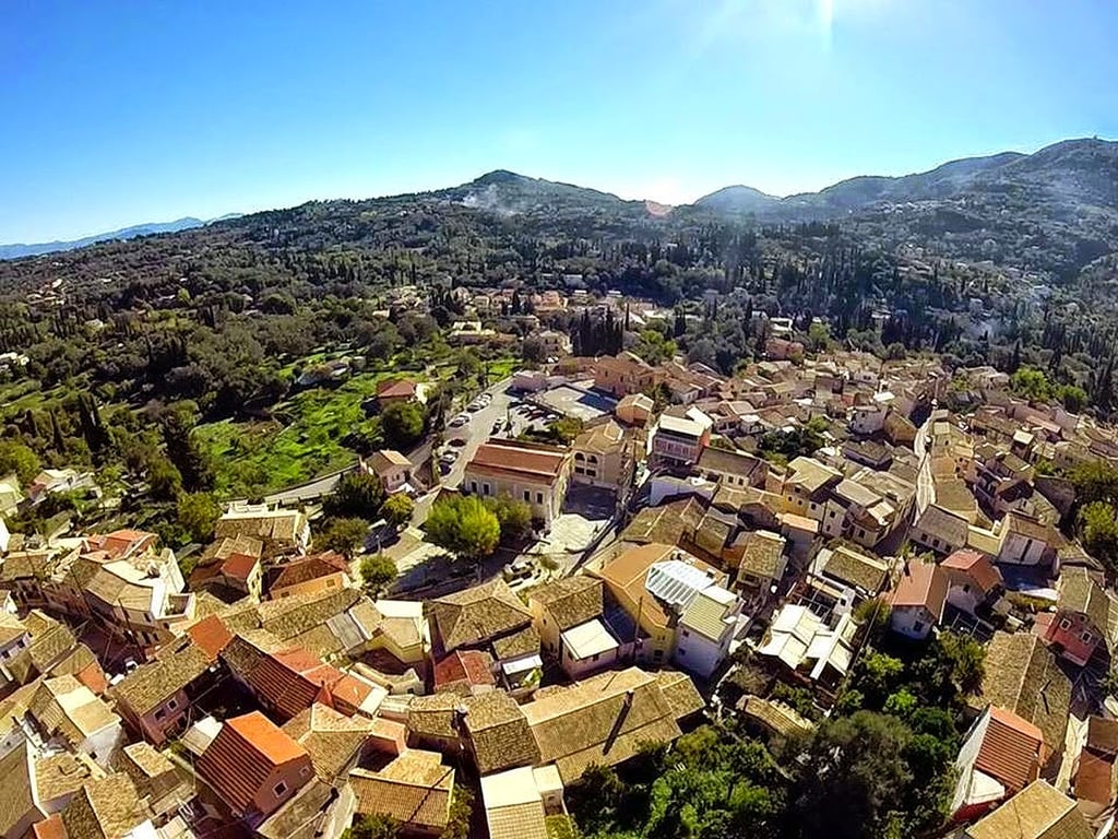 Mhlia, Kunopiastes , photo #1