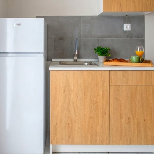 One Bedroom Apartment with kitchenette and Veranda photo 7