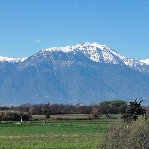 Aithra Suite Europa Hotel photo 25