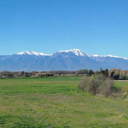 Aithra Suite Europa Hotel photo 24