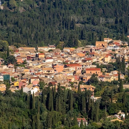 Milia, Kinopiastes photo 1