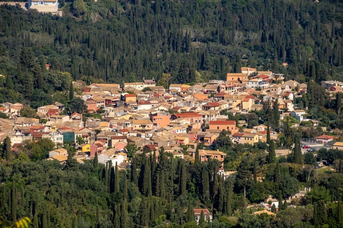 Mhlia, Kunopiastes , photo #2