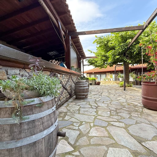 Pliades Guesthouse photo 16