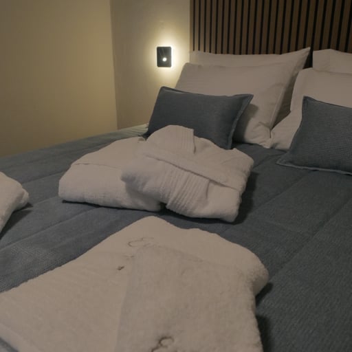 Aithra Suite Europa Hotel photo 18