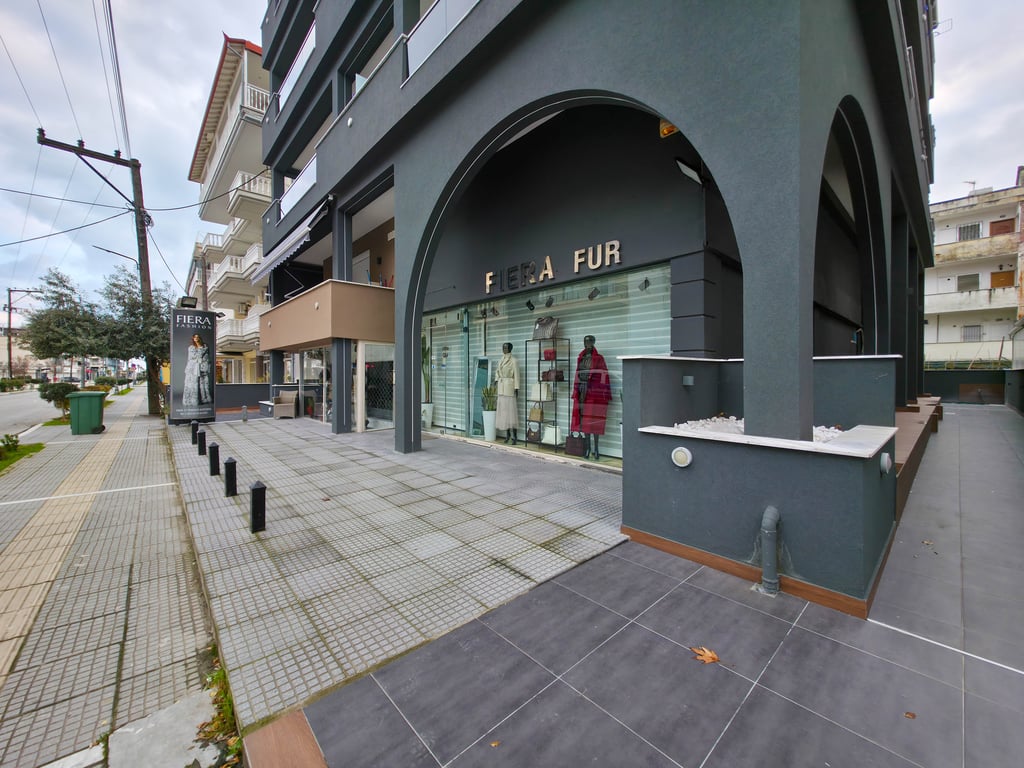 DANAI Studios by SDR in Paralia Katerini , photo #2