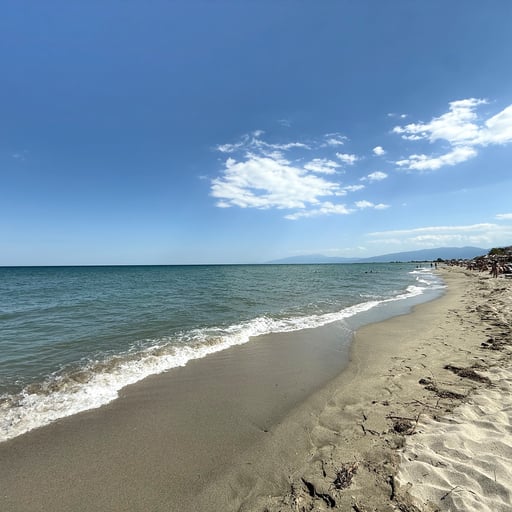 Olympic Beach photo 5