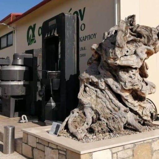 Culture of Kynopiastes Corfu photo 2