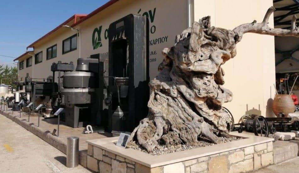 Culture of Kynopiastes Corfu photo 3
