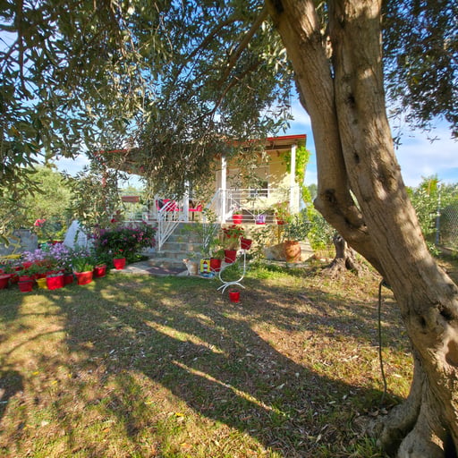 ART HOUSE LITOCHORO photo 4