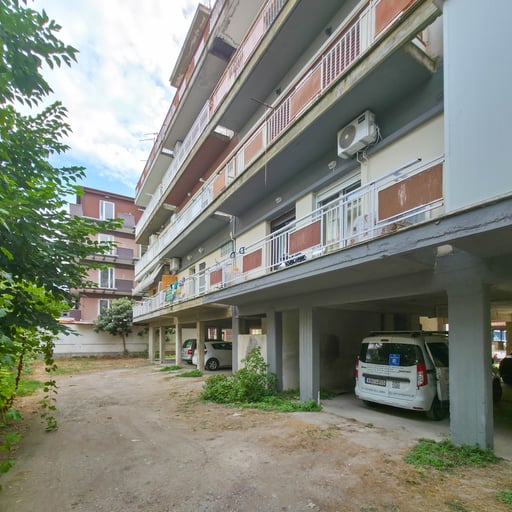 Emily's Paradise by SDR photo 20