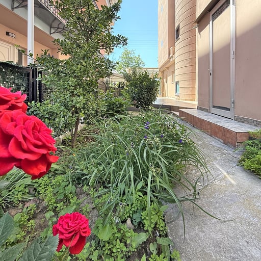 Olympic Studios by SDR photo 8