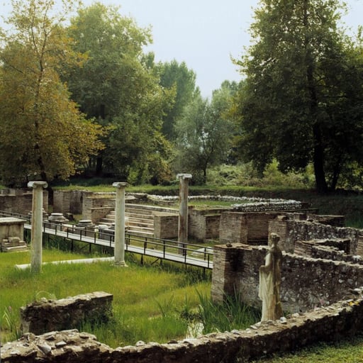 Olympus Riviera photo 11