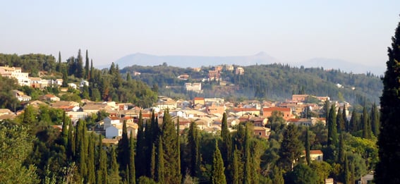 Mhlia, Kunopiastes , photo #3