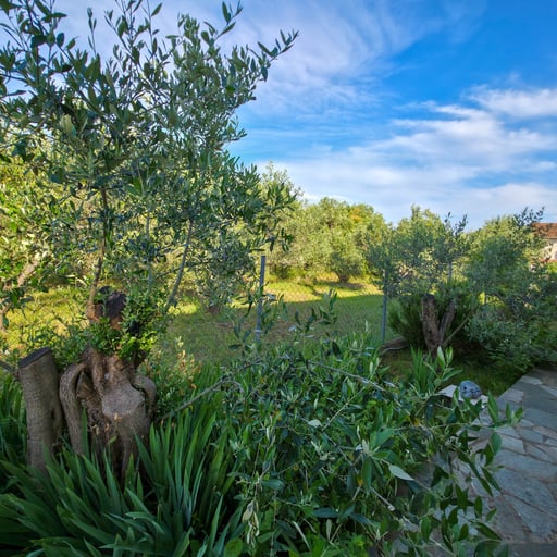 Art House photo 37