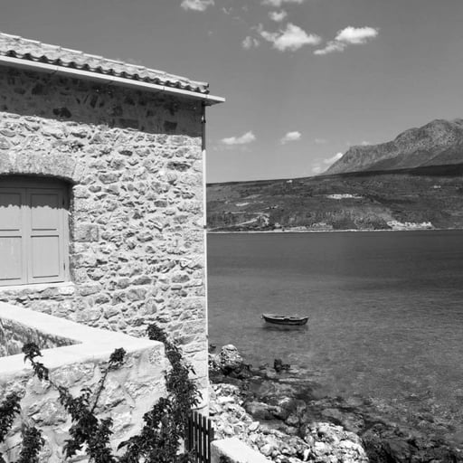Milia, Kinopiastes photo 3