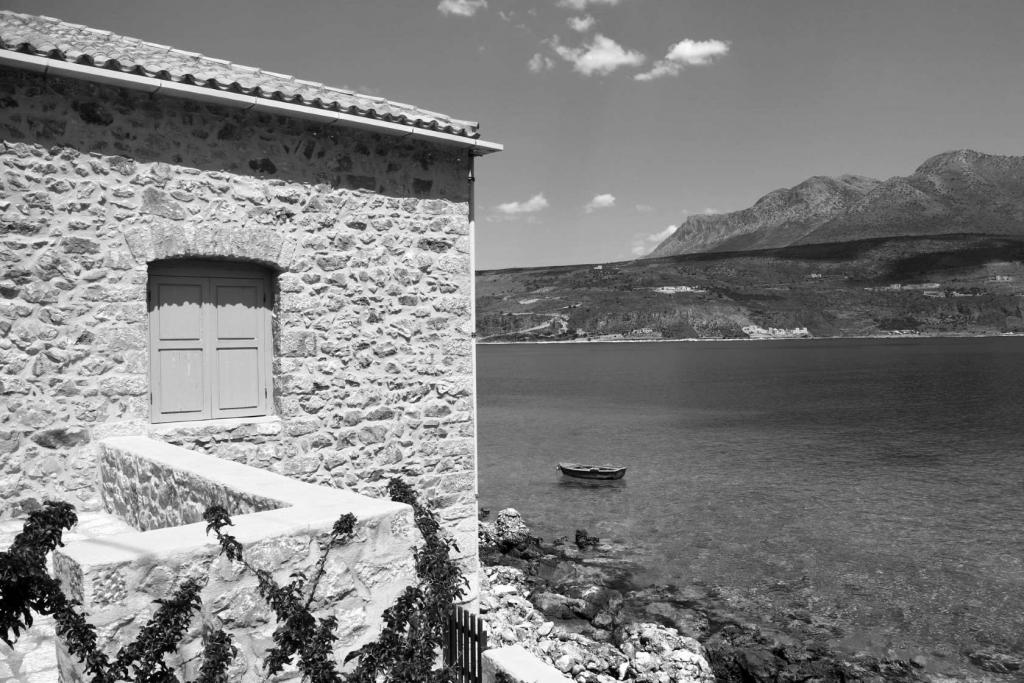 Mhlia, Kunopiastes , photo #4