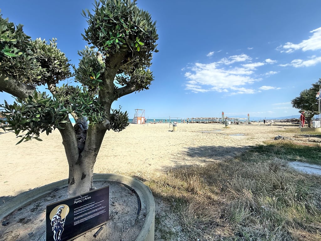 Olympic Beach, photo #2