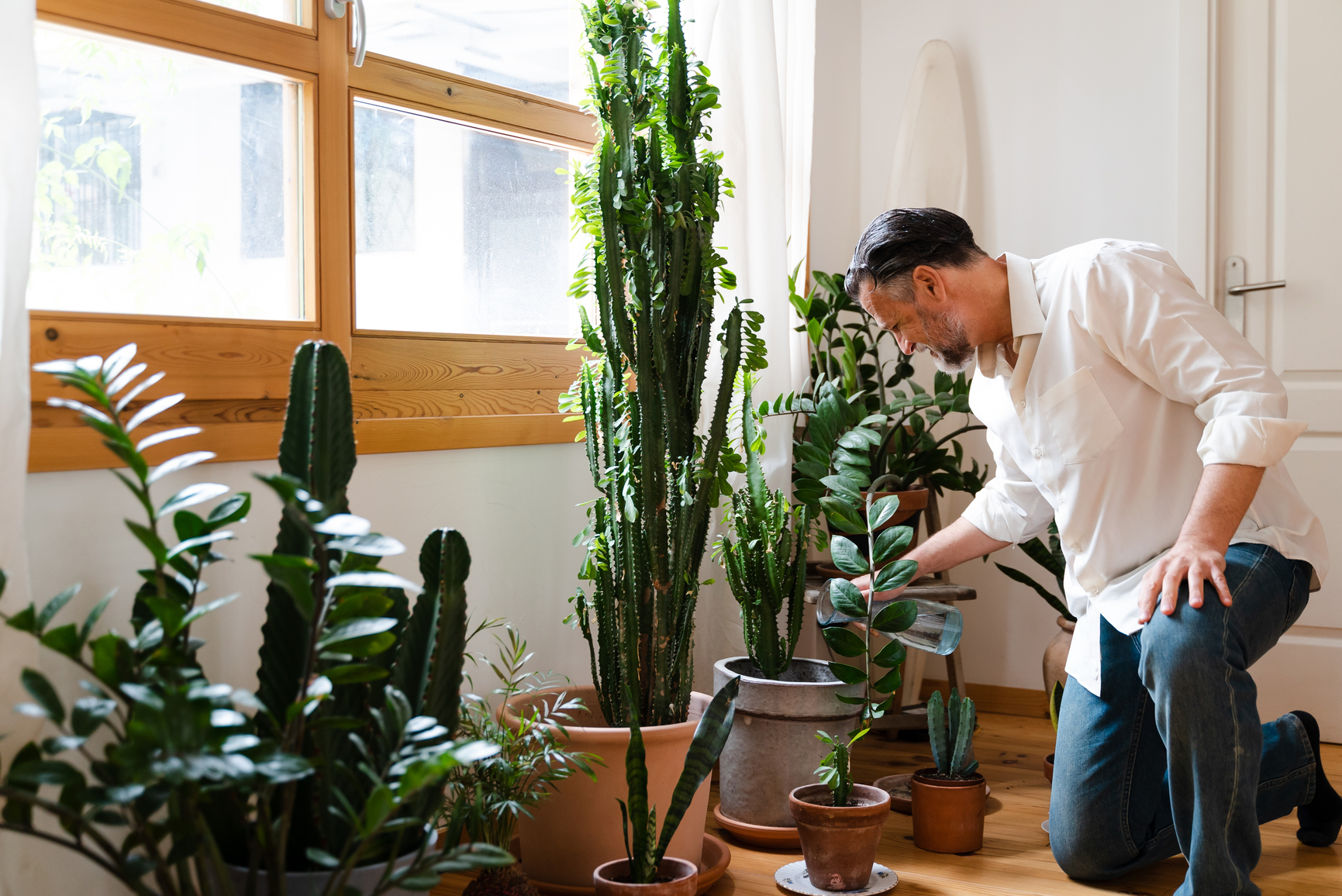 Person watering houseplants in a bright living room.