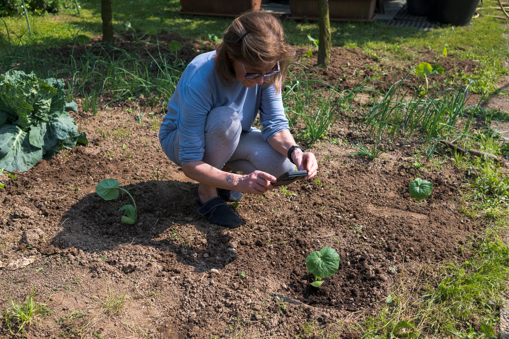 Woman kneeling in garden, taking a photo of a plant with her smartphone