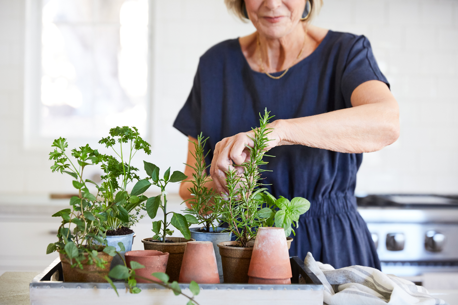 Person tending a small indoor herb garden.